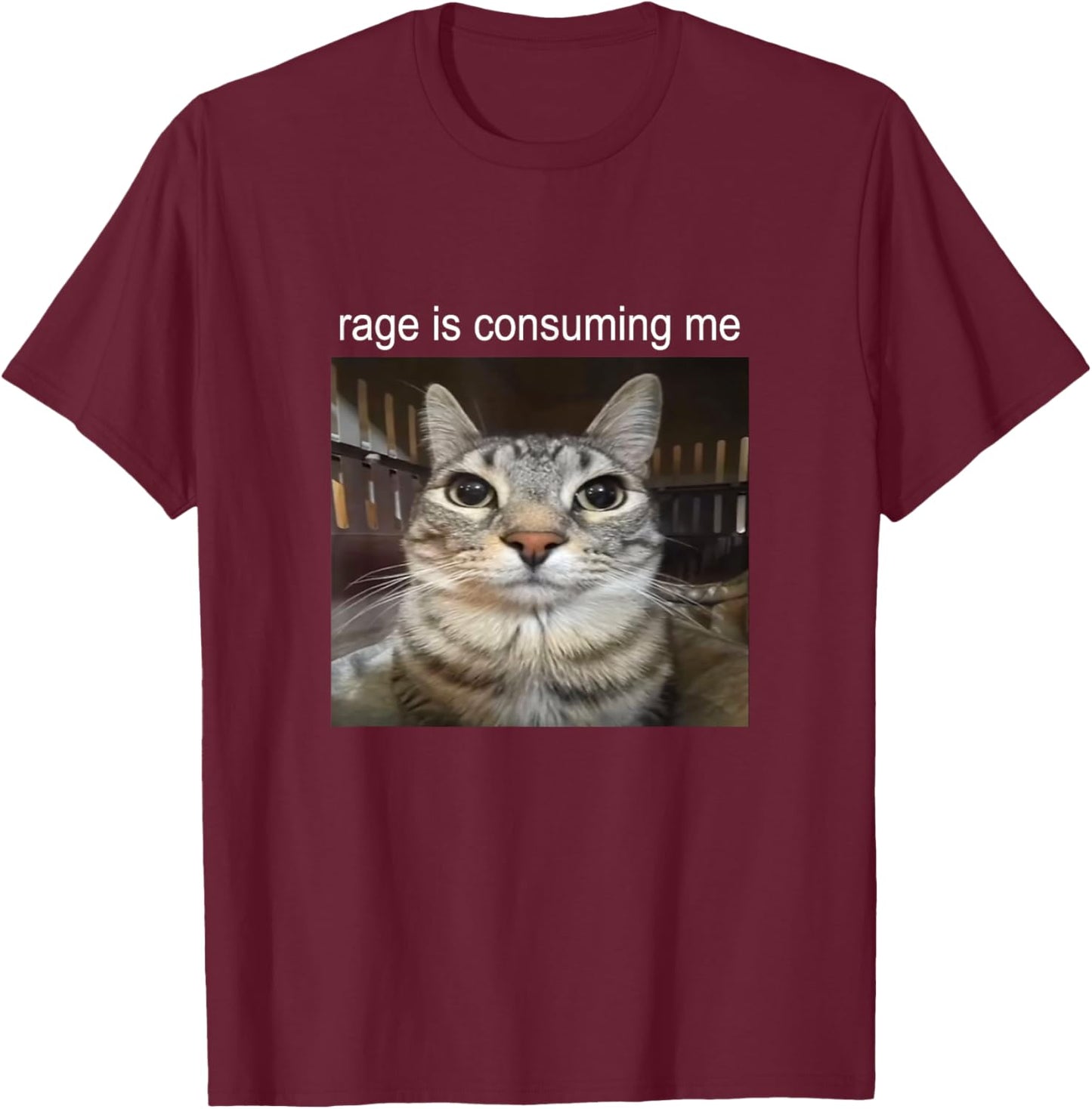 Rage Is Consuming Me Staring Cat Meme T-Shirt