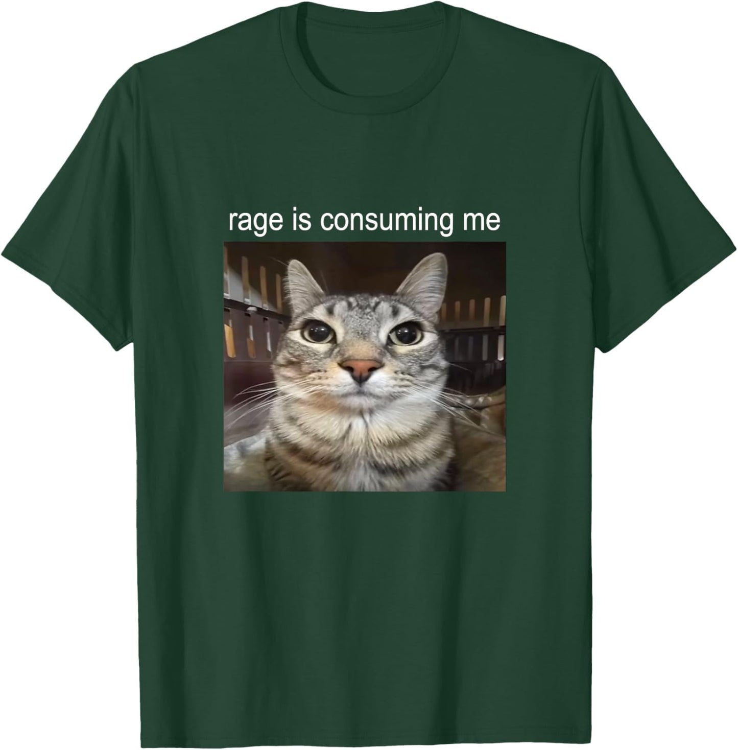 Rage Is Consuming Me Staring Cat Meme T-Shirt