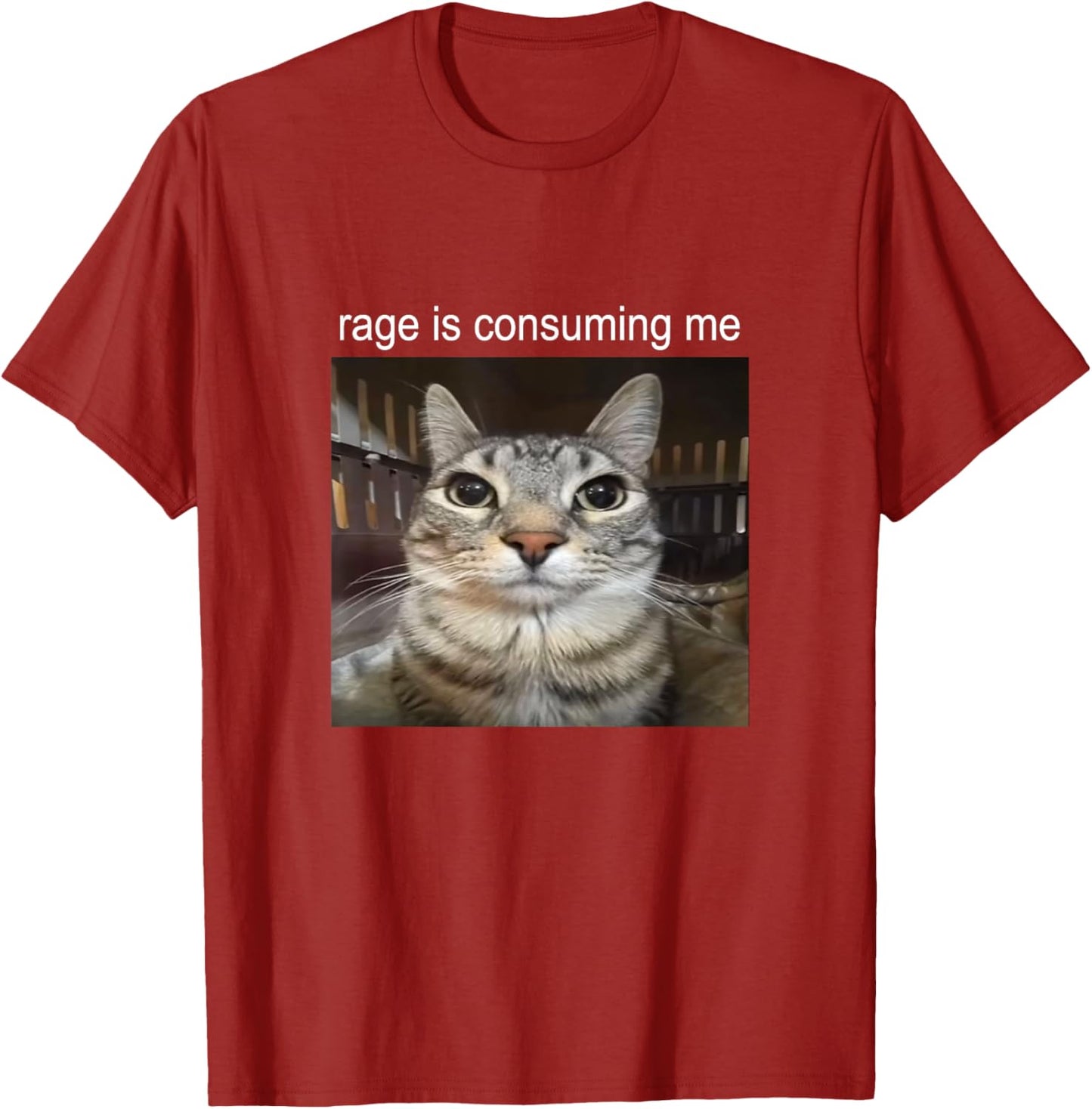 Rage Is Consuming Me Staring Cat Meme T-Shirt