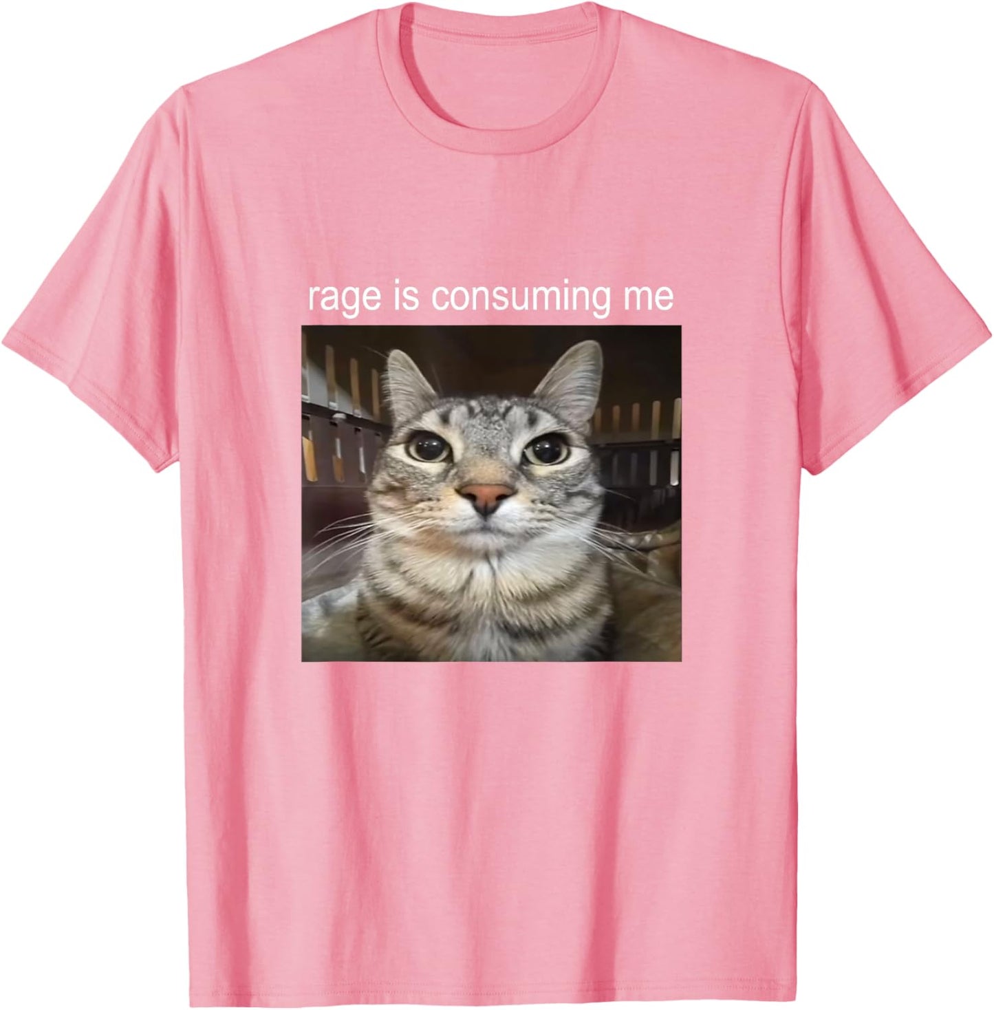 Rage Is Consuming Me Staring Cat Meme T-Shirt