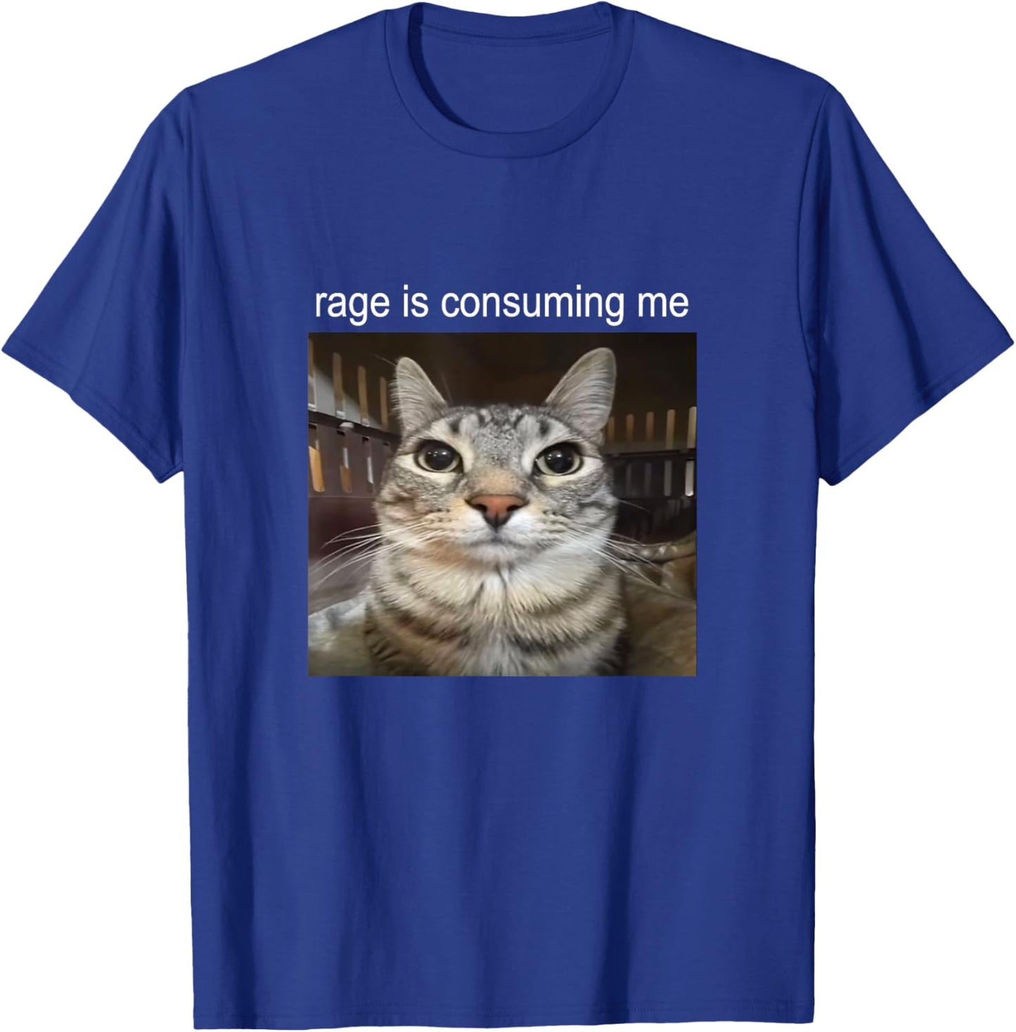 Rage Is Consuming Me Staring Cat Meme T-Shirt