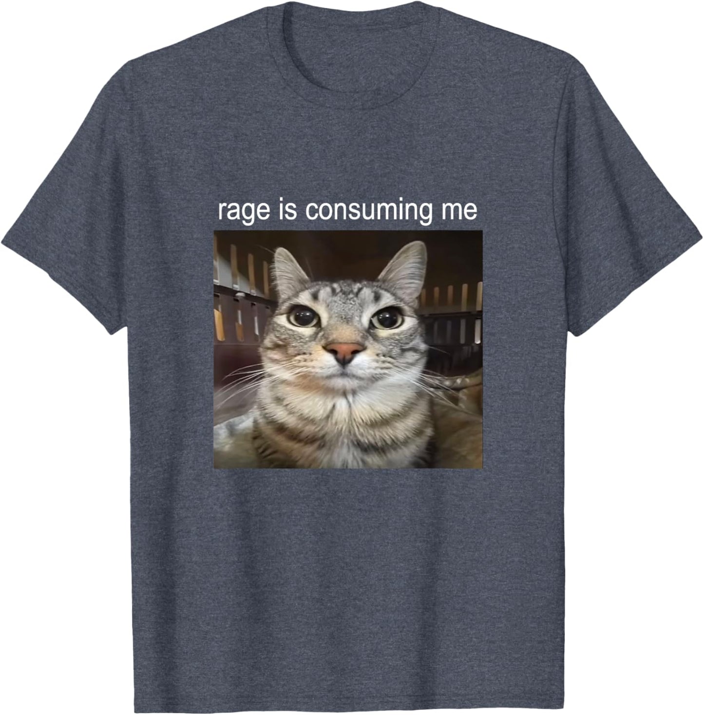 Rage Is Consuming Me Staring Cat Meme T-Shirt
