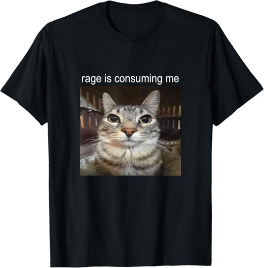 Rage Is Consuming Me Staring Cat Meme T-Shirt