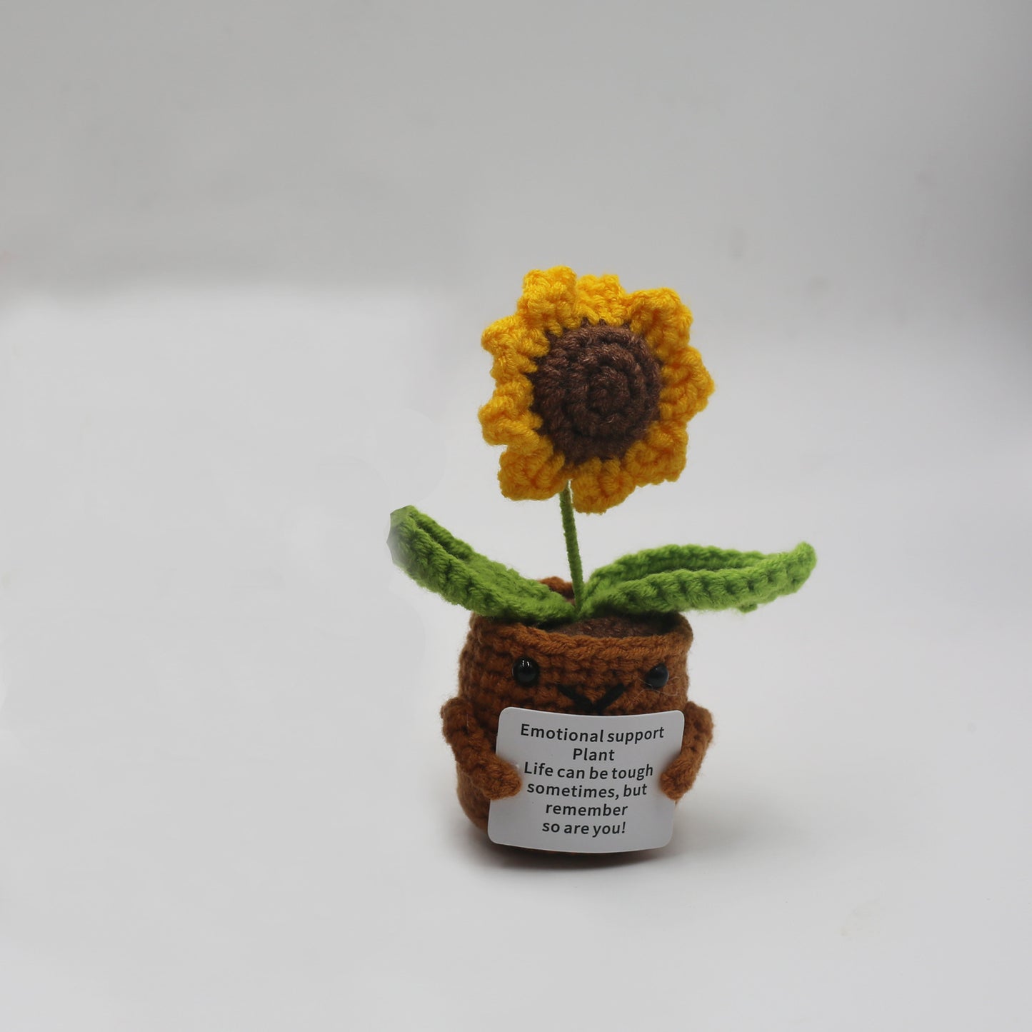 Emotionlal Support Plant Gifts