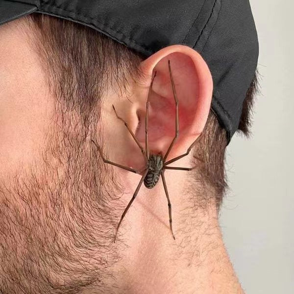 Spider Earring