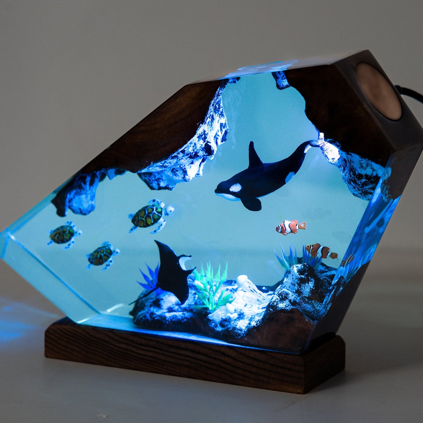 Orcas and Turtles Night Light Gift