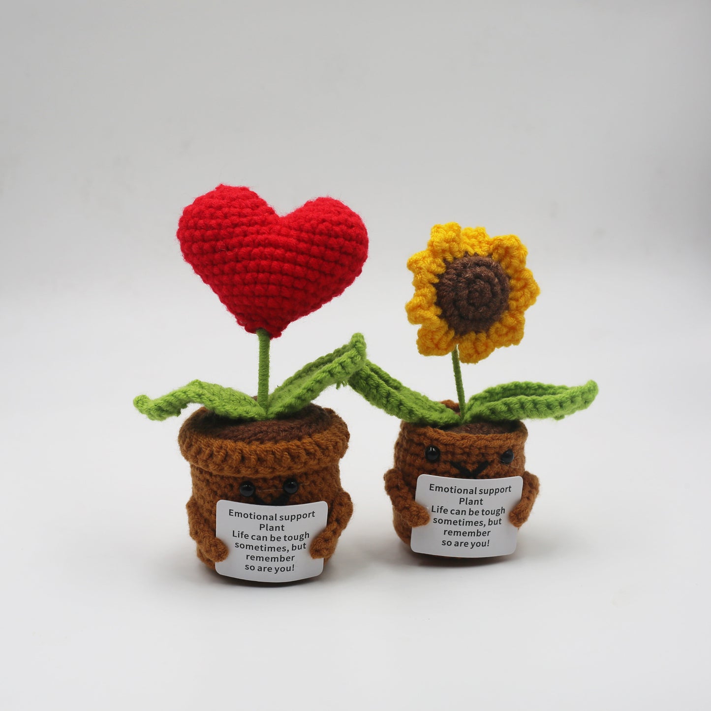 Emotionlal Support Plant Gifts