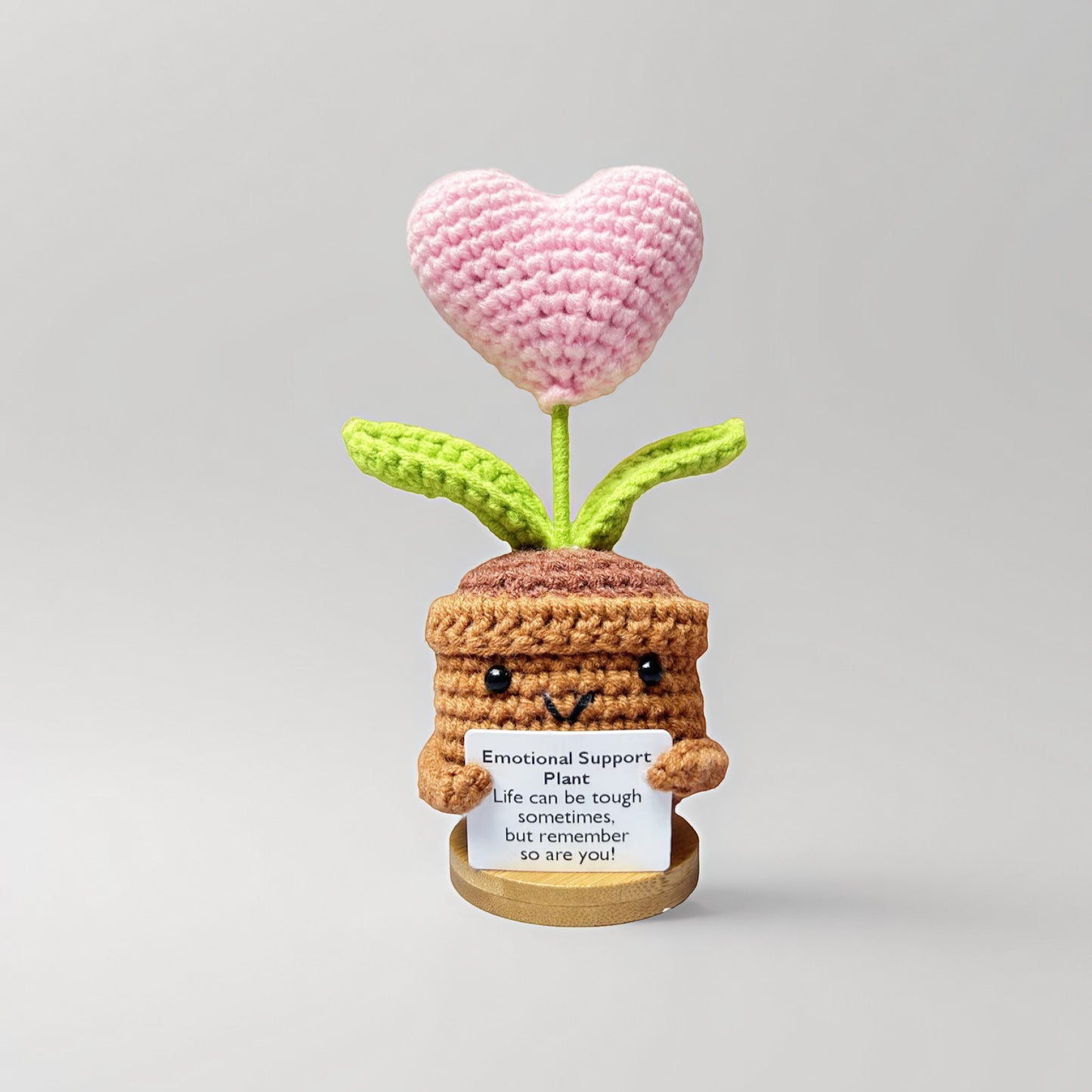 Emotionlal Support Plant Gifts