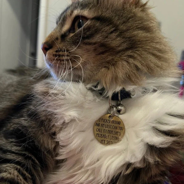 Funny Dog Tag (Buy 2 Get 1 FREE)