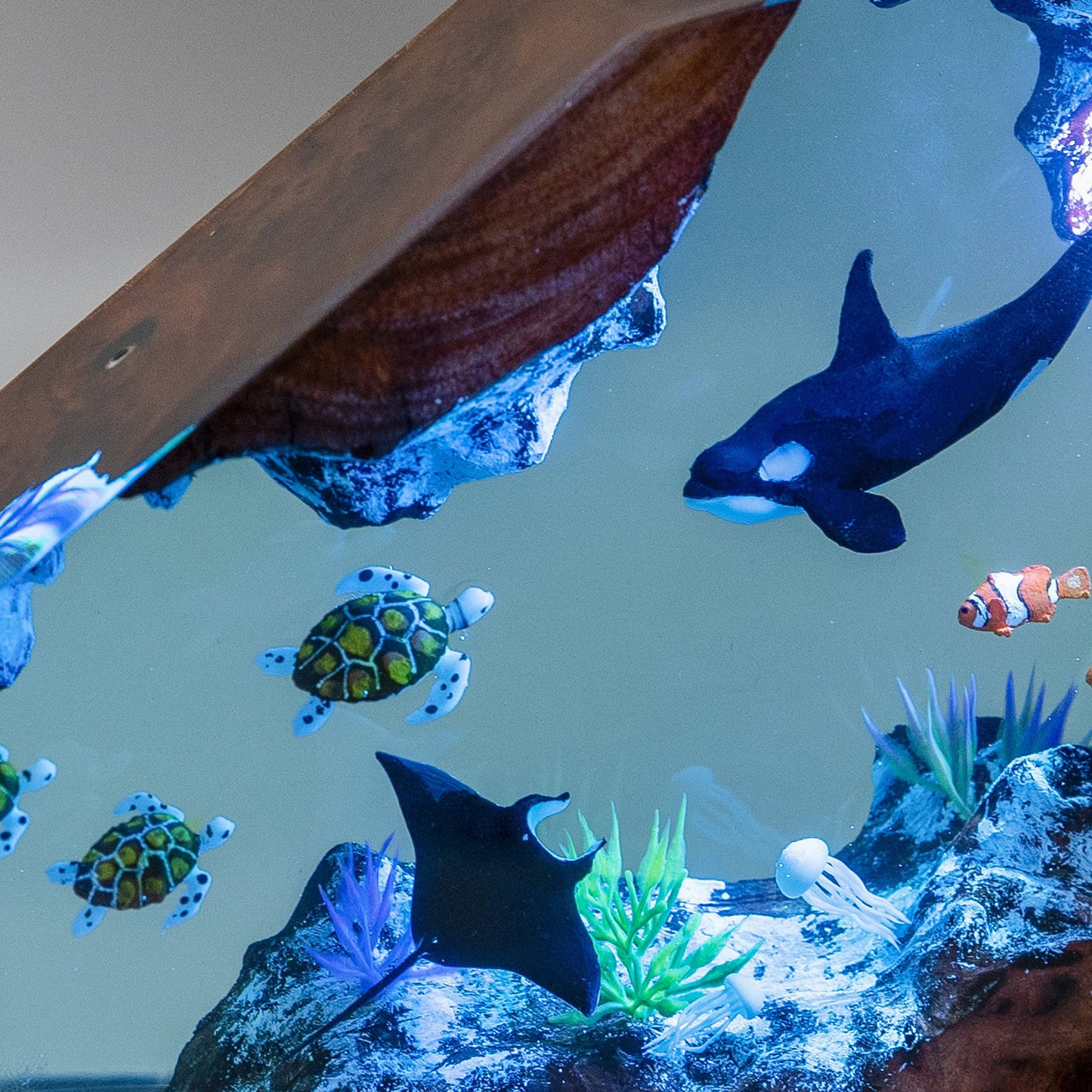 Orcas and Turtles Night Light Gift