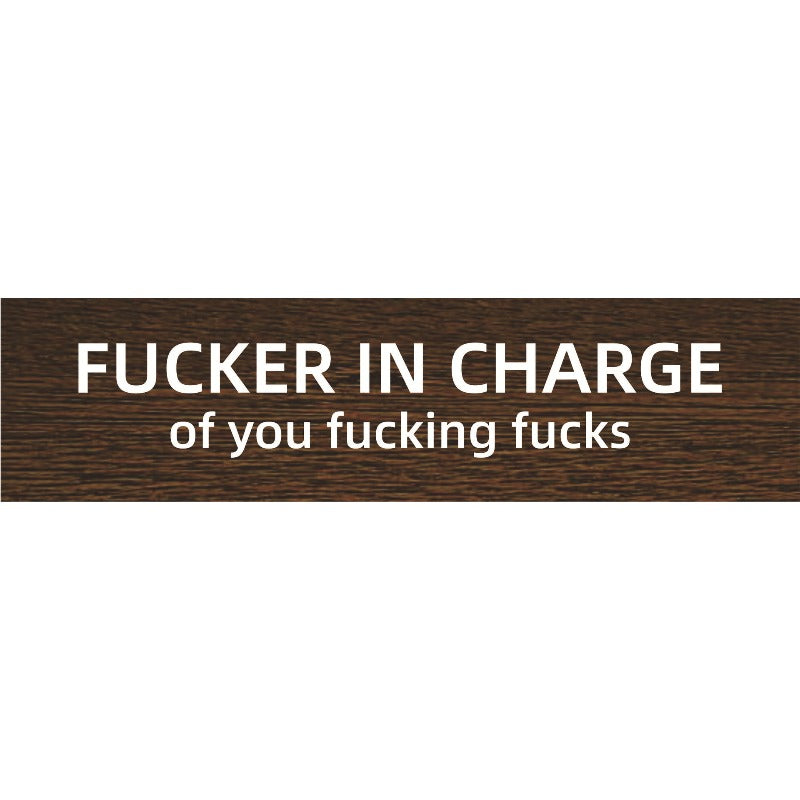 Sarcastic Acrylic Office Desk Signs